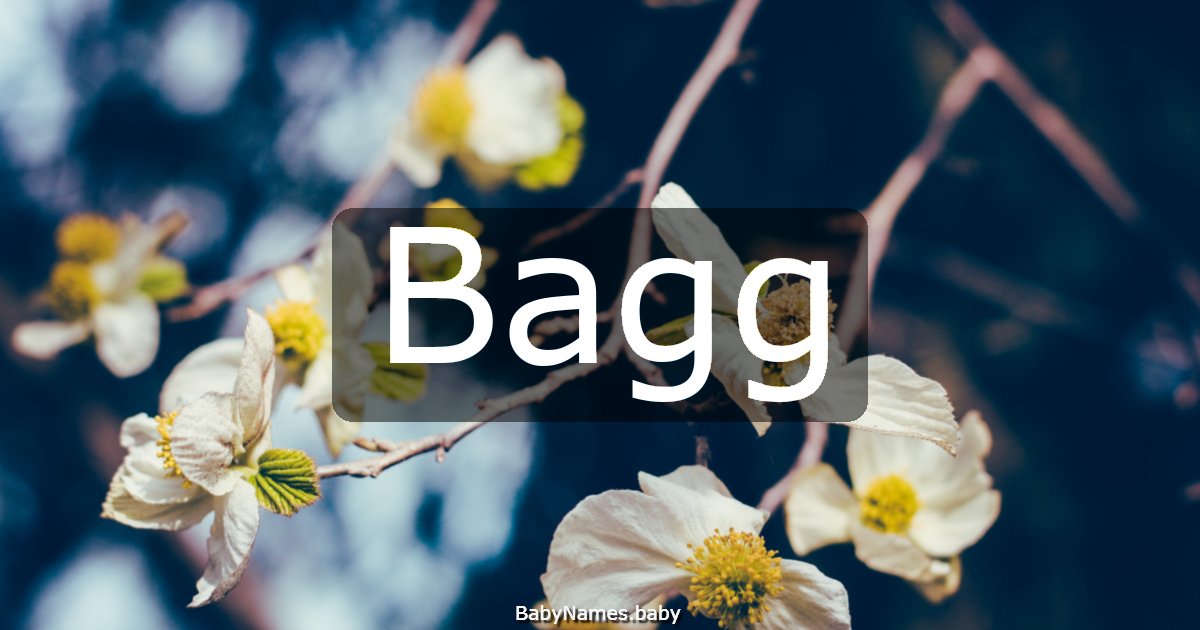 Bagg