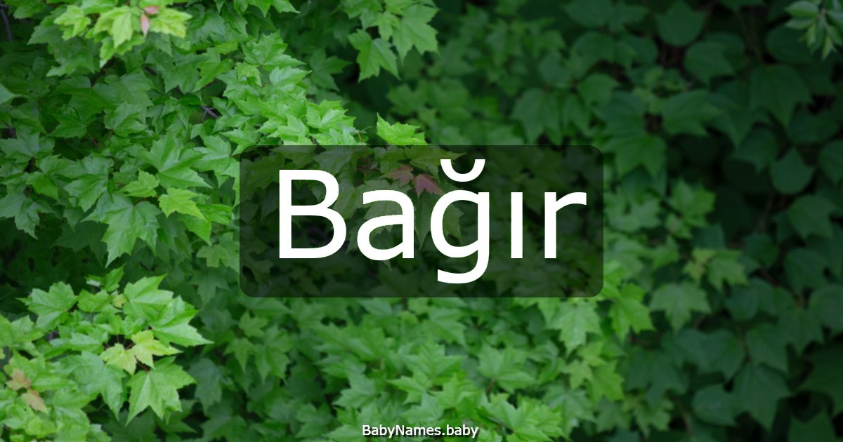Bağır