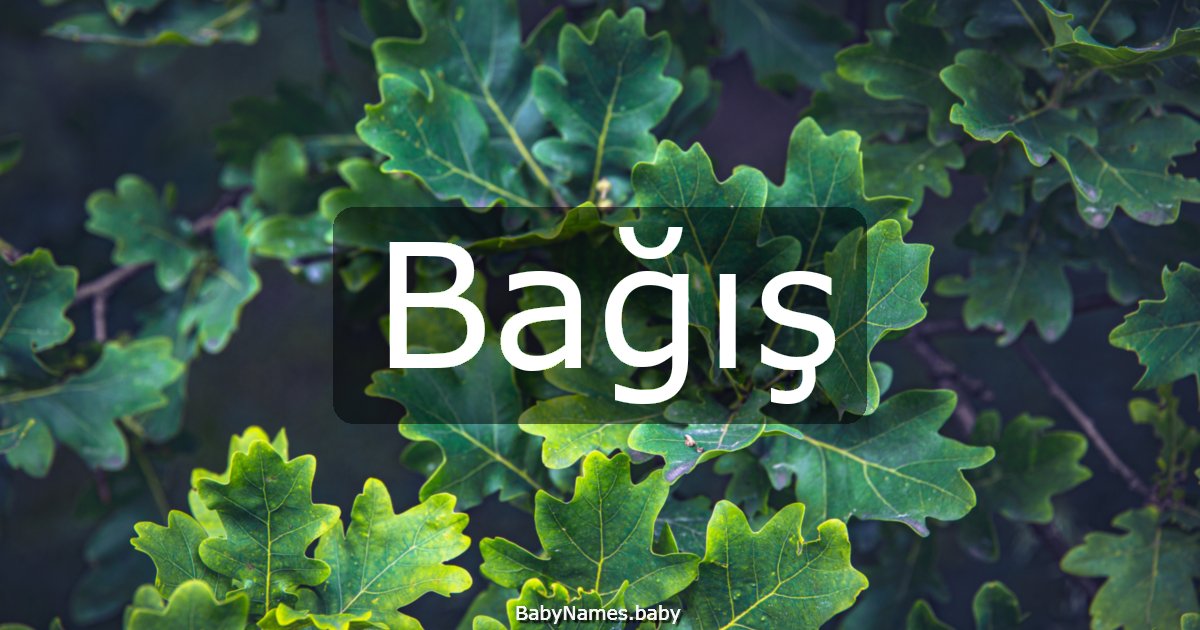 Bağış