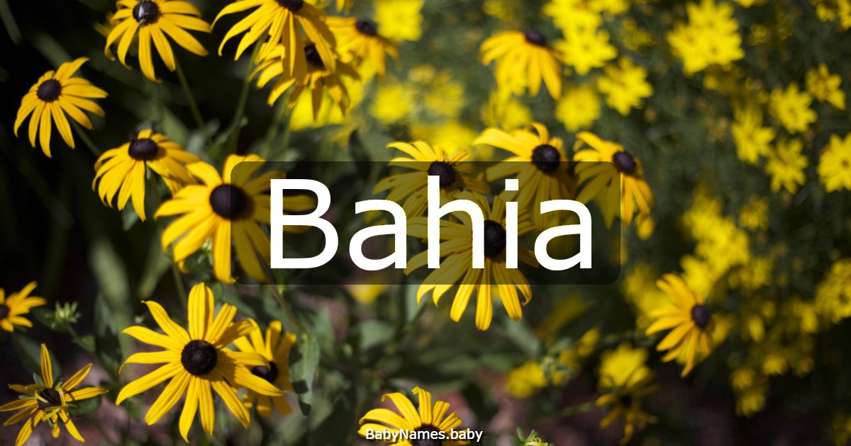 Bahia