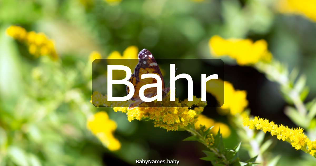 Bahr