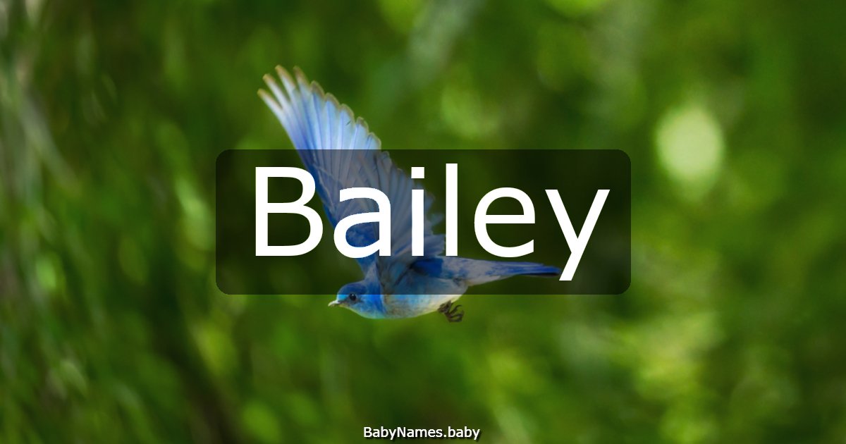 Bailey