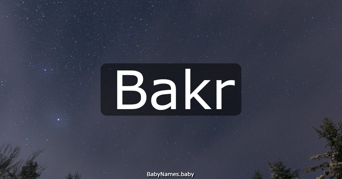 Bakr