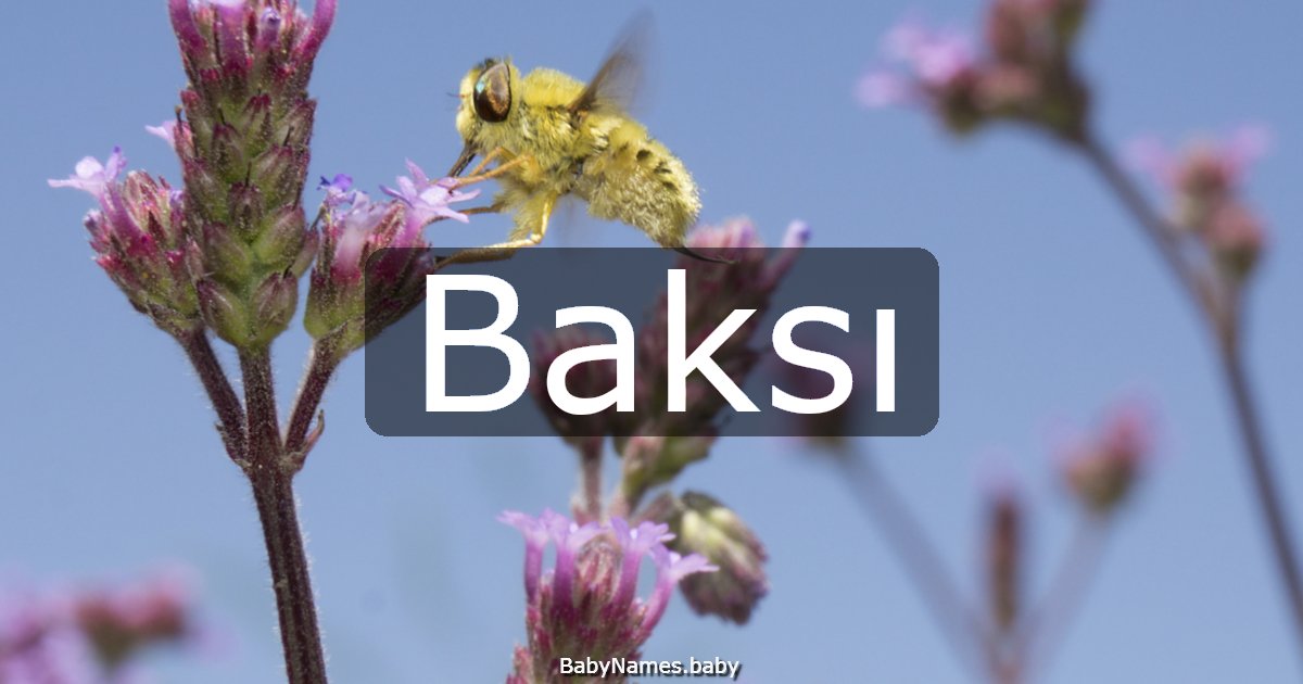 Baksı