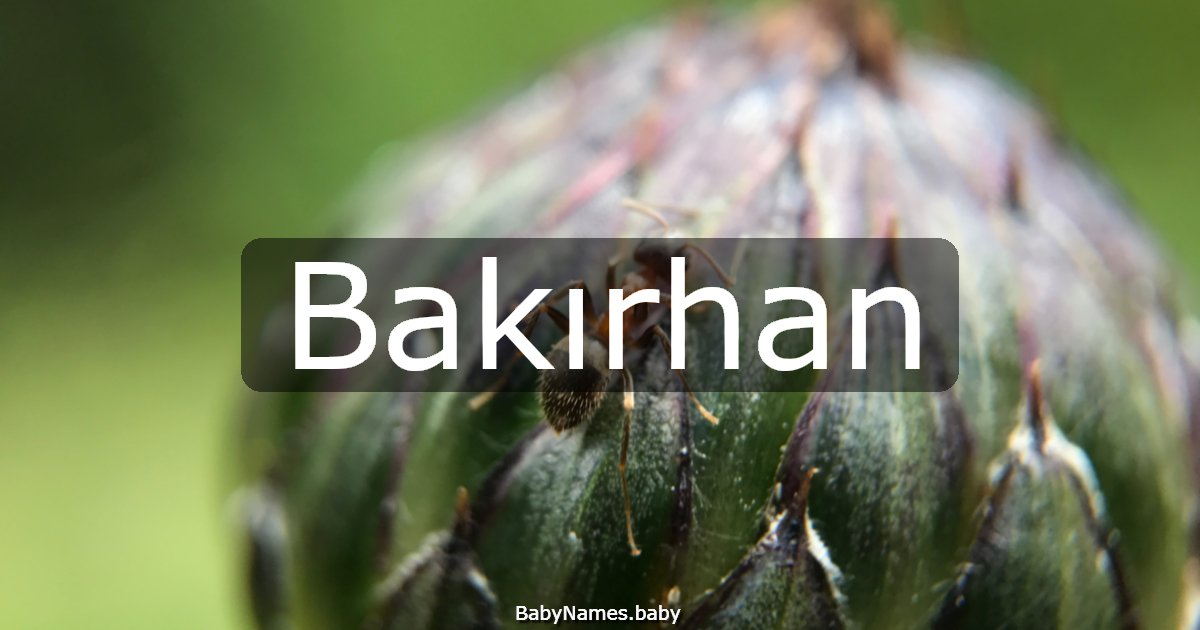 Bakırhan