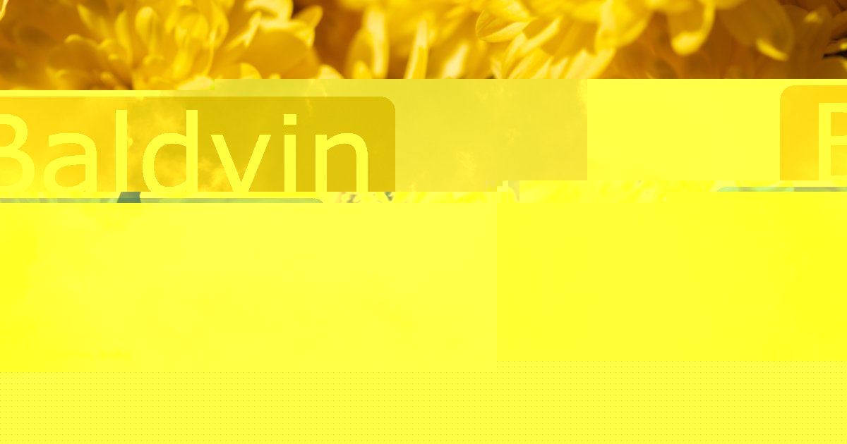 Baldvin