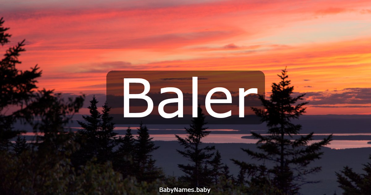 Baler