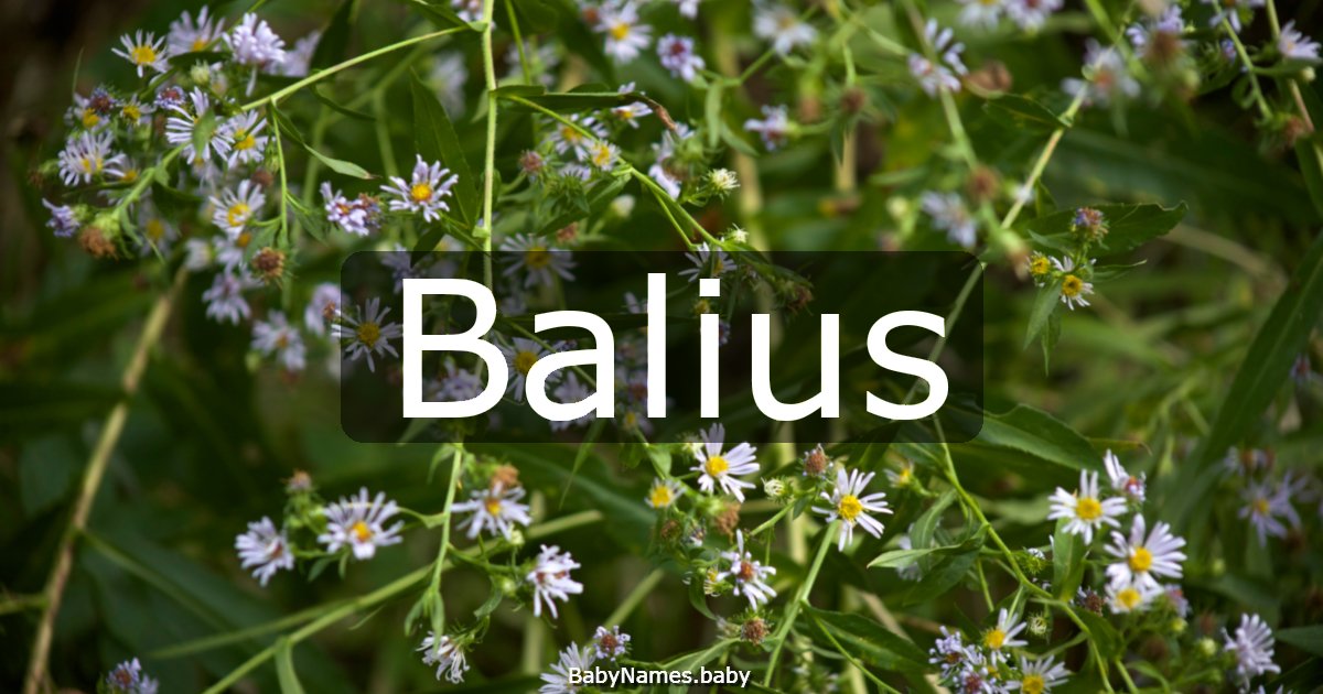 Balius