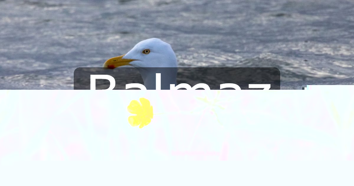 Balmaz