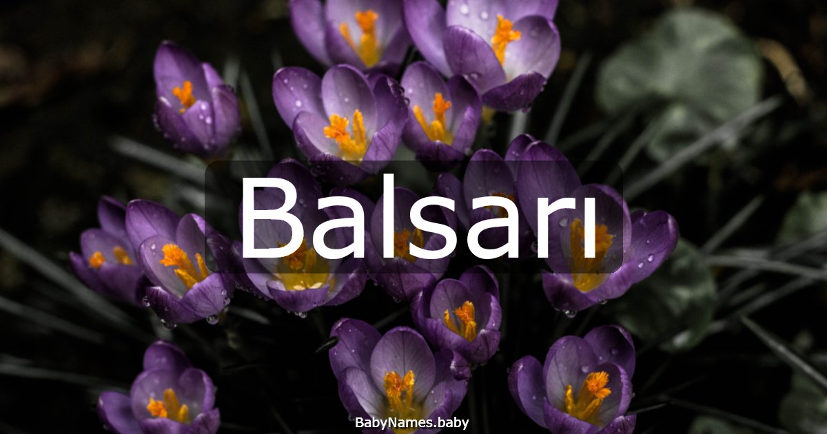 Balsarı