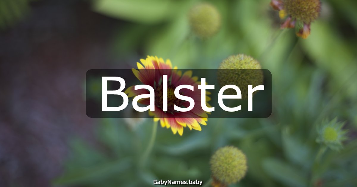 Balster