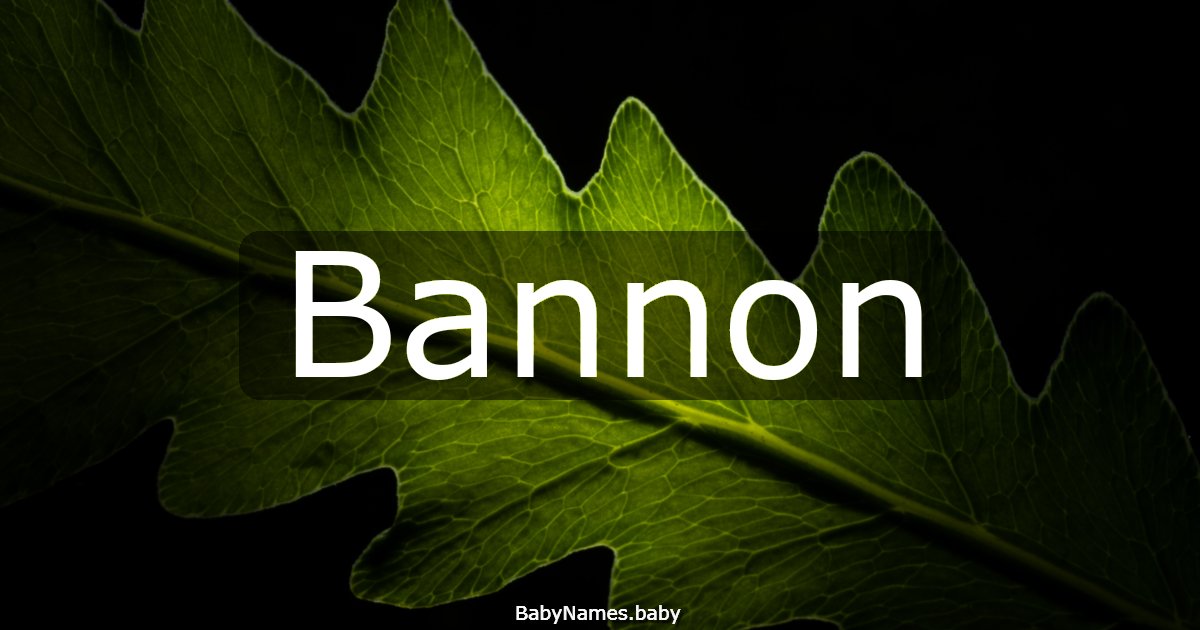 Bannon