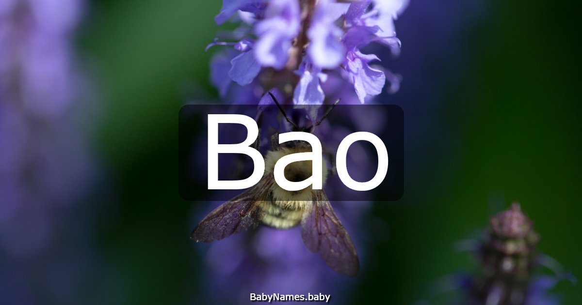 Bao