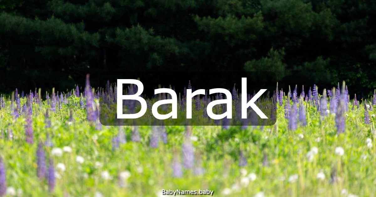 Barak
