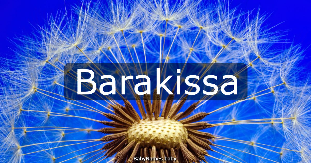 Barakissa