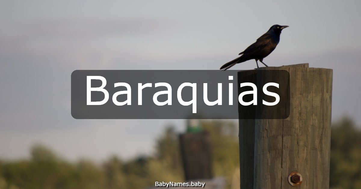 Baraquias