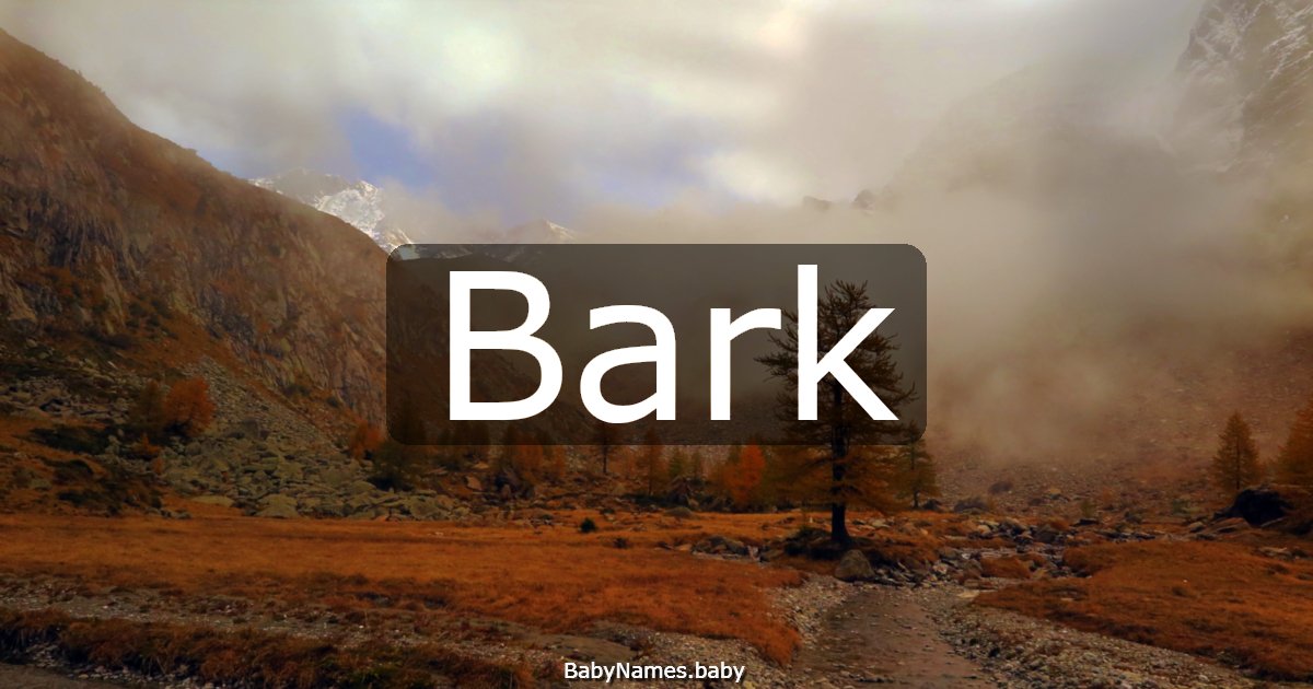 Bark
