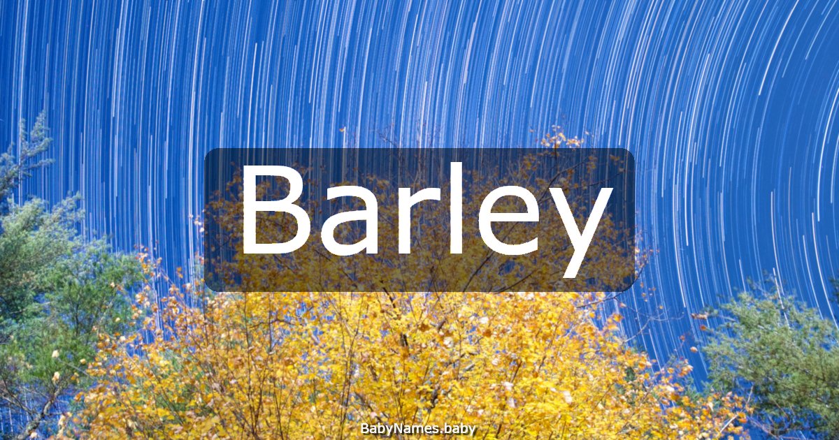 Barley