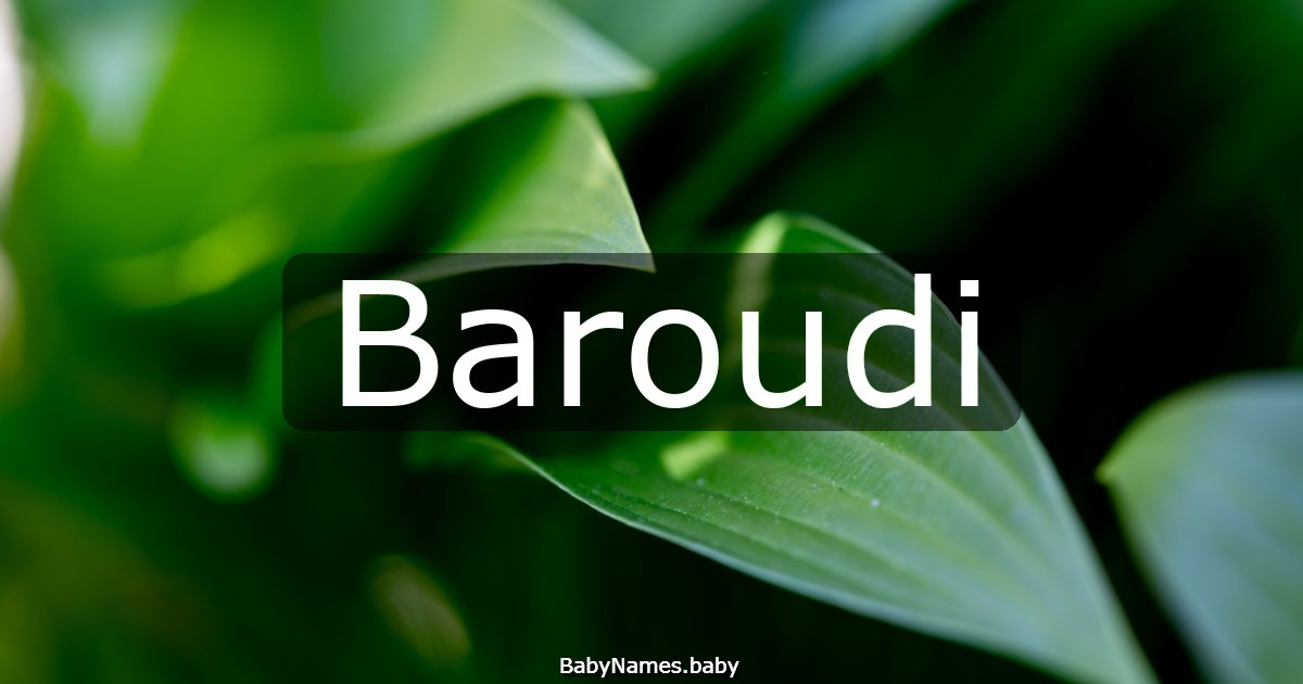 Baroudi