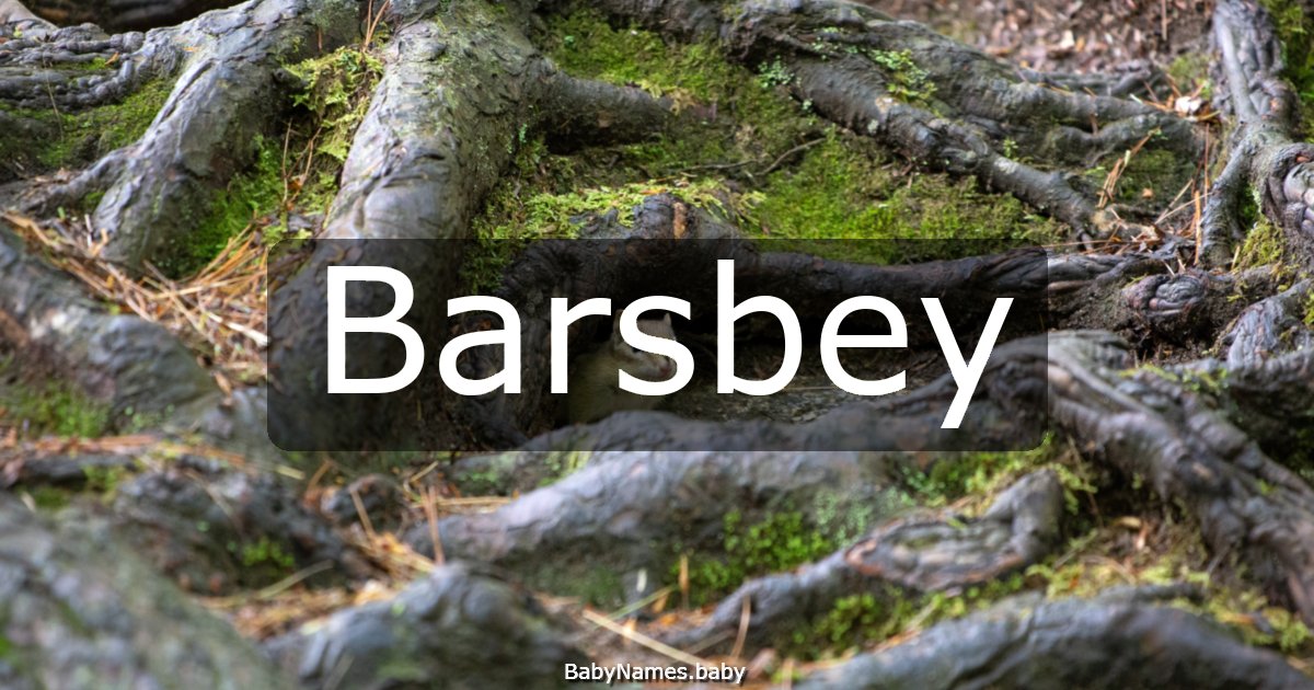 Barsbey