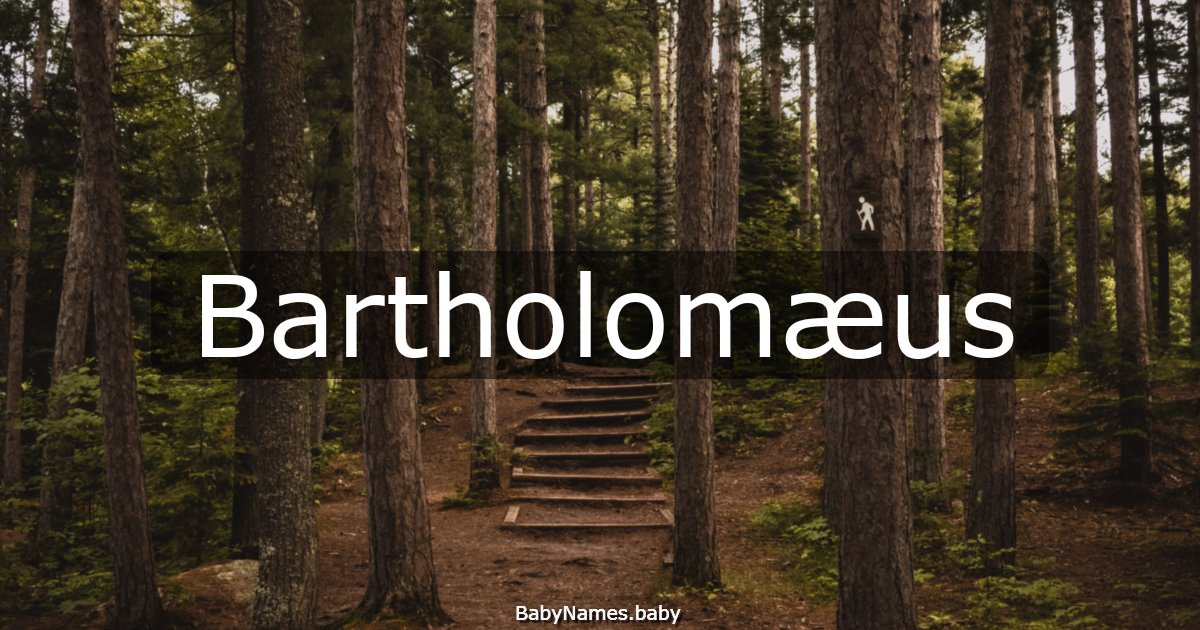 Bartholomæus