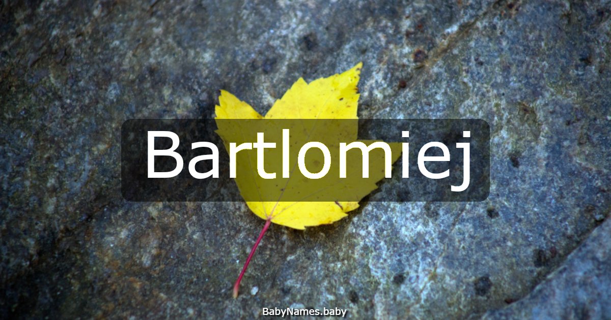 Bartlomiej