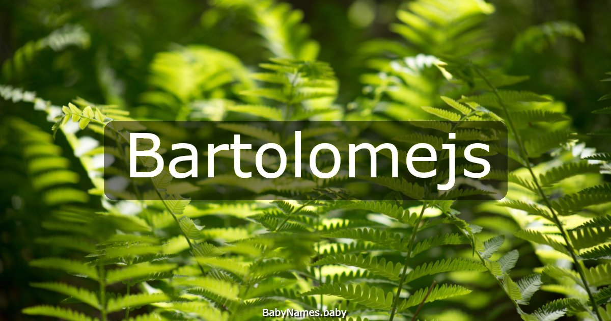 Bartolomejs
