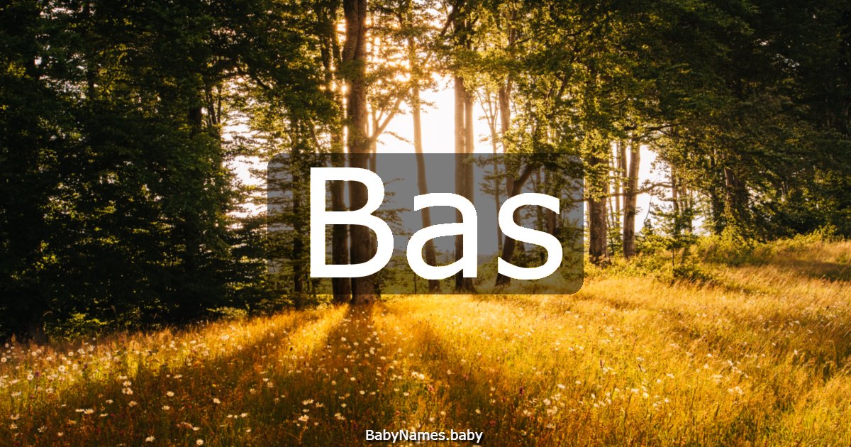 Bas
