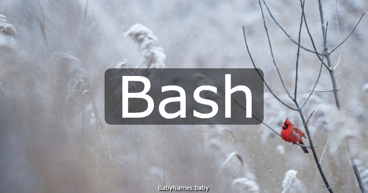 Bash