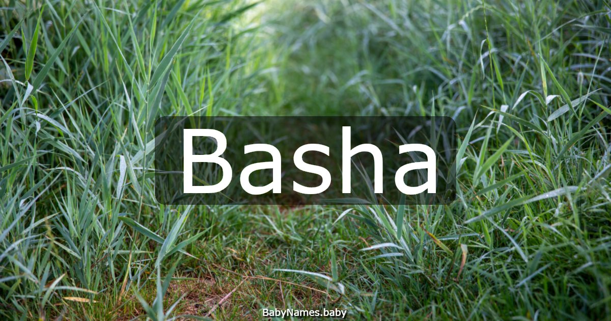 Basha
