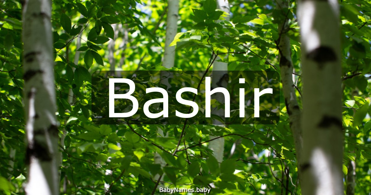 Bashir