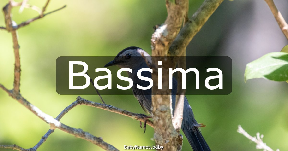 Bassima