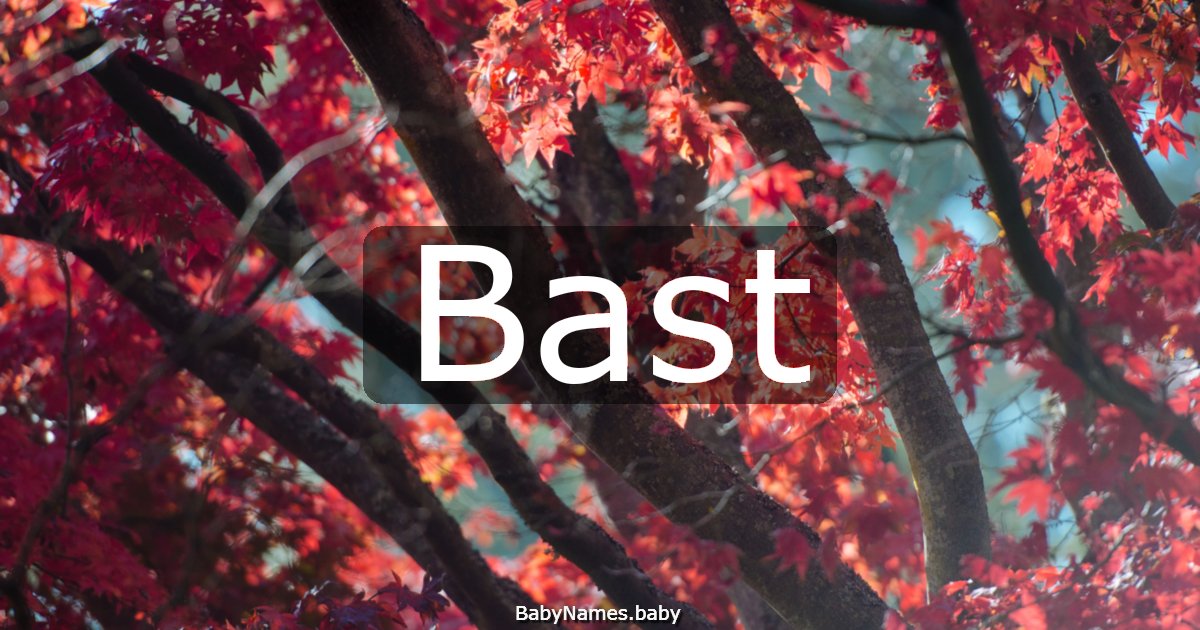 Bast