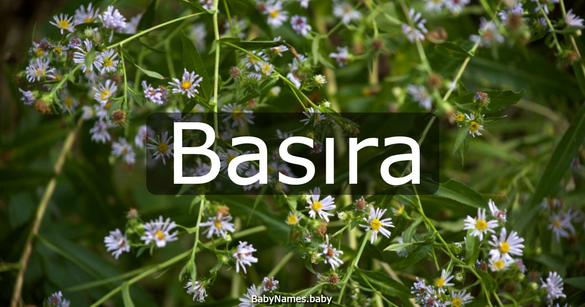 Basıra