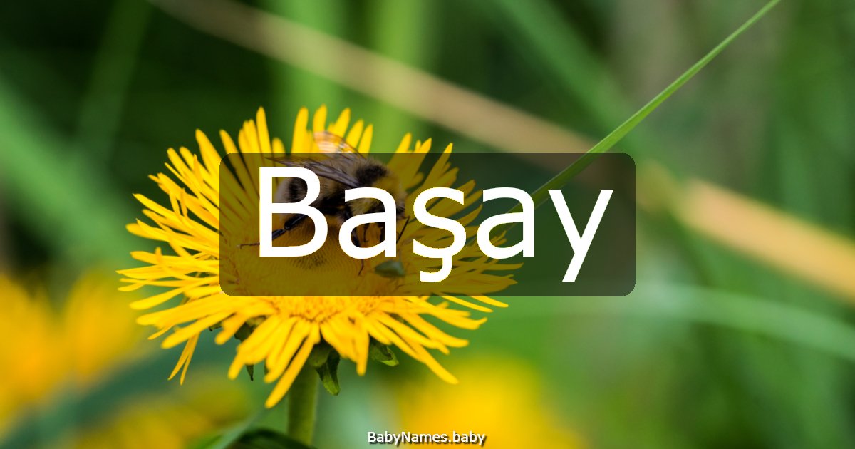 Başay