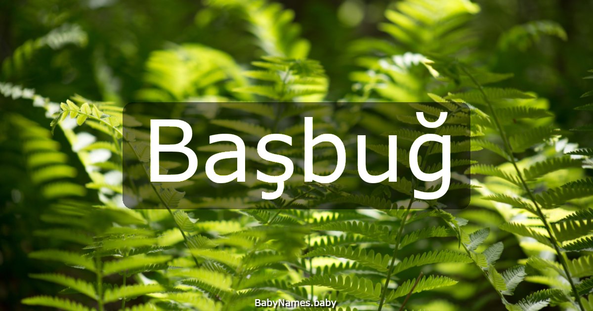 Başbuğ