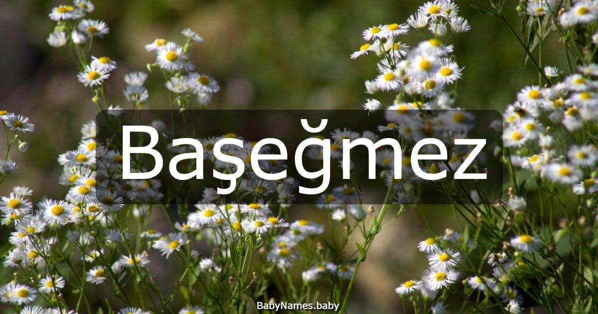 Başeğmez