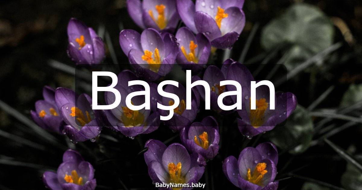 Başhan