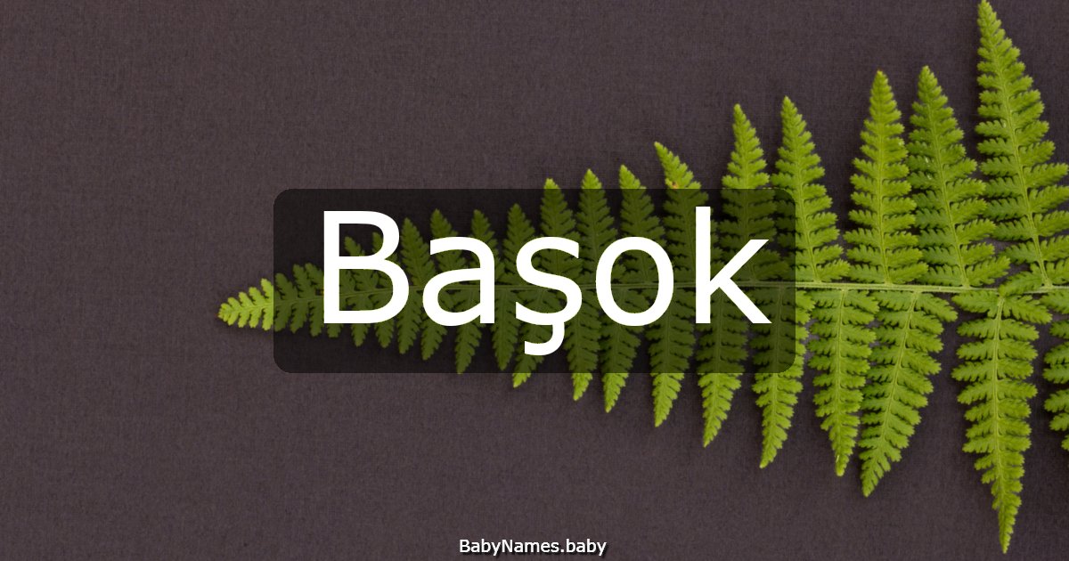 Başok