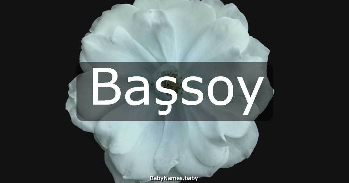 Başsoy