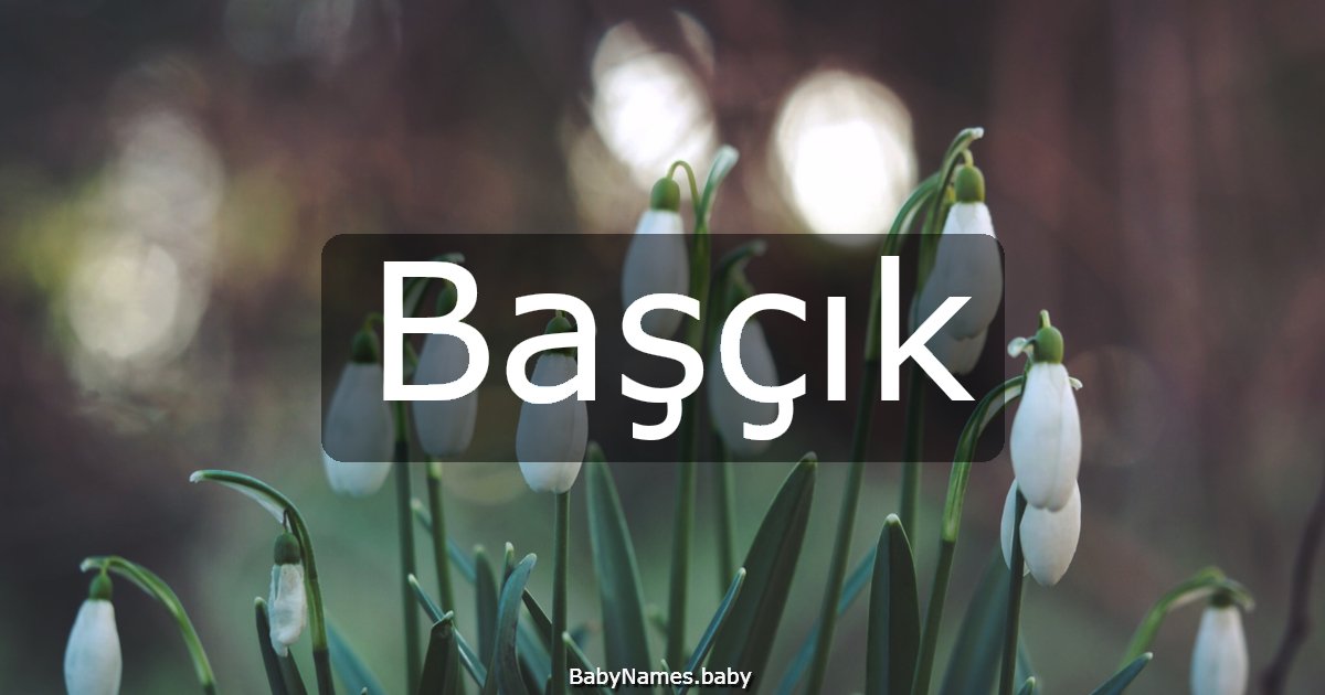Başçık
