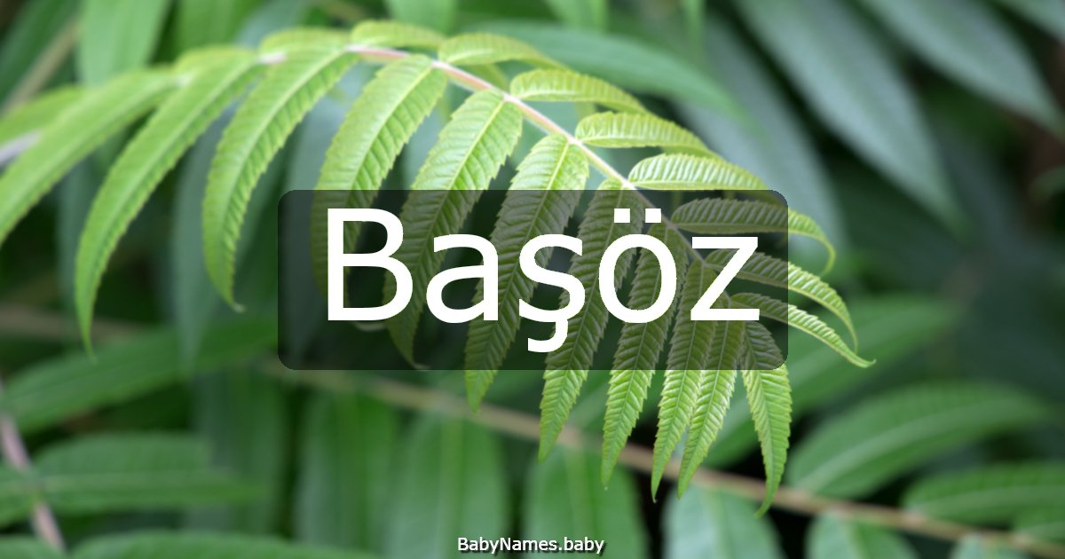 Başöz