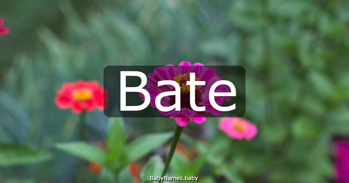 Bate