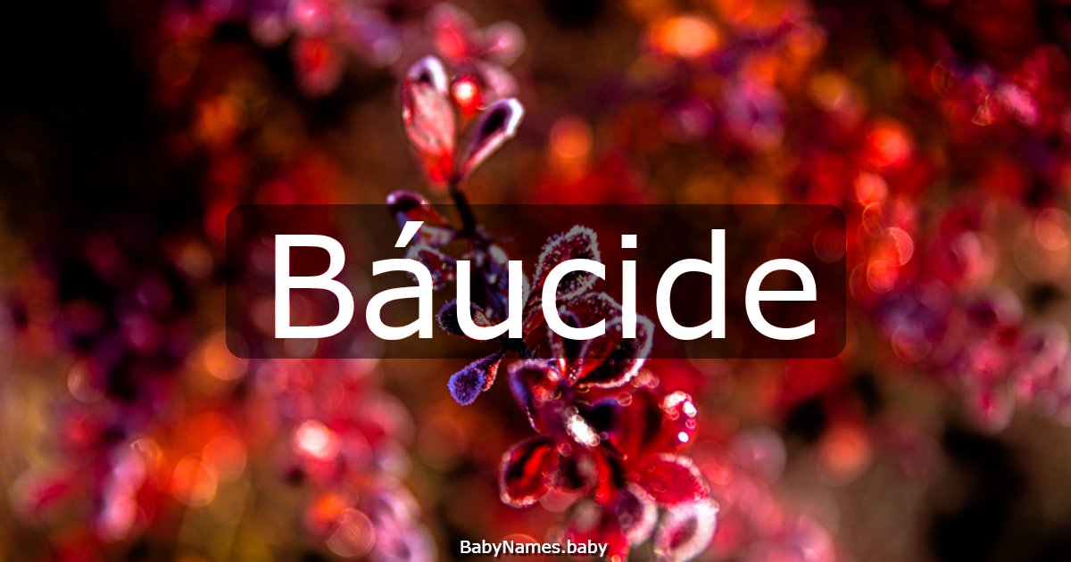 Báucide