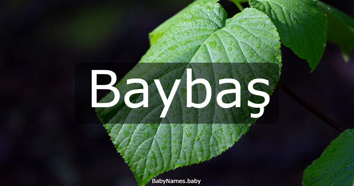 Baybaş