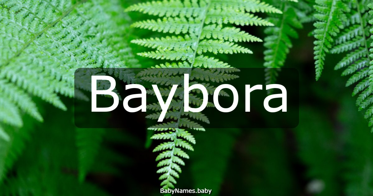 Baybora