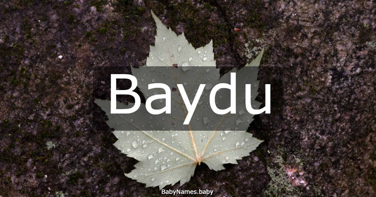 Baydu