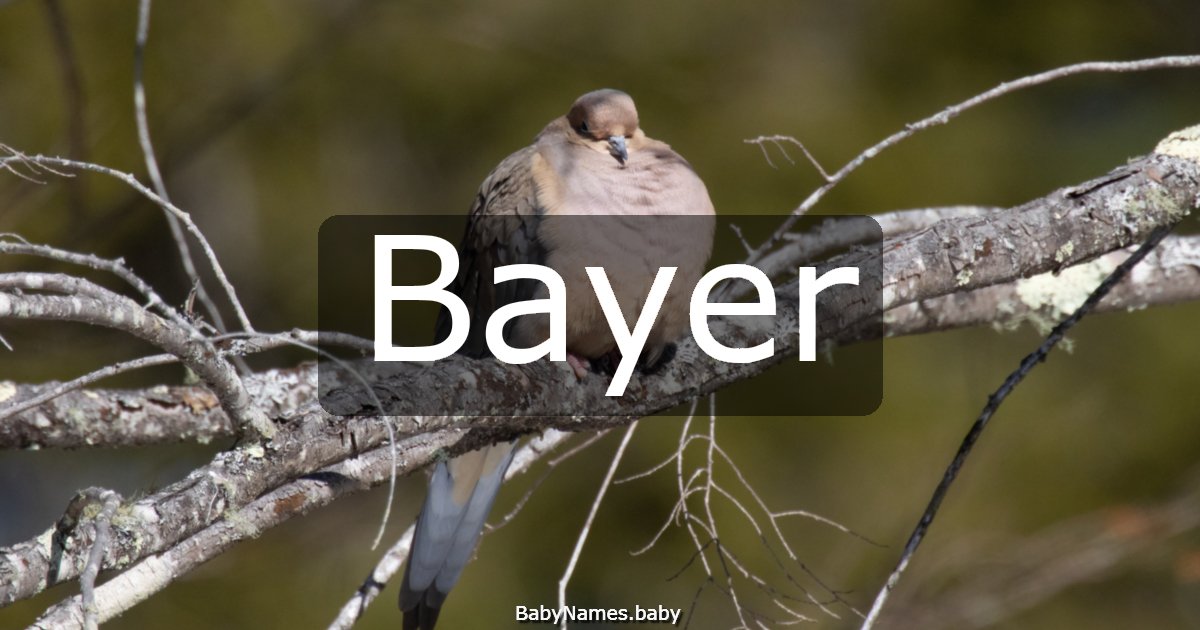 Bayer