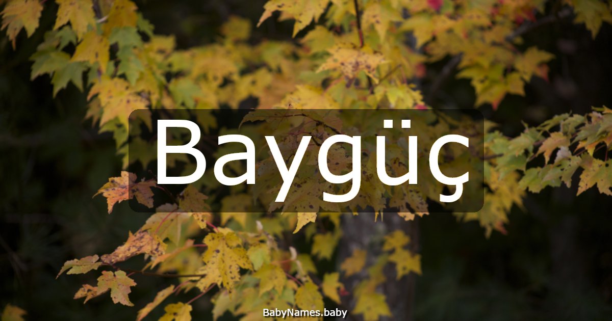 Baygüç