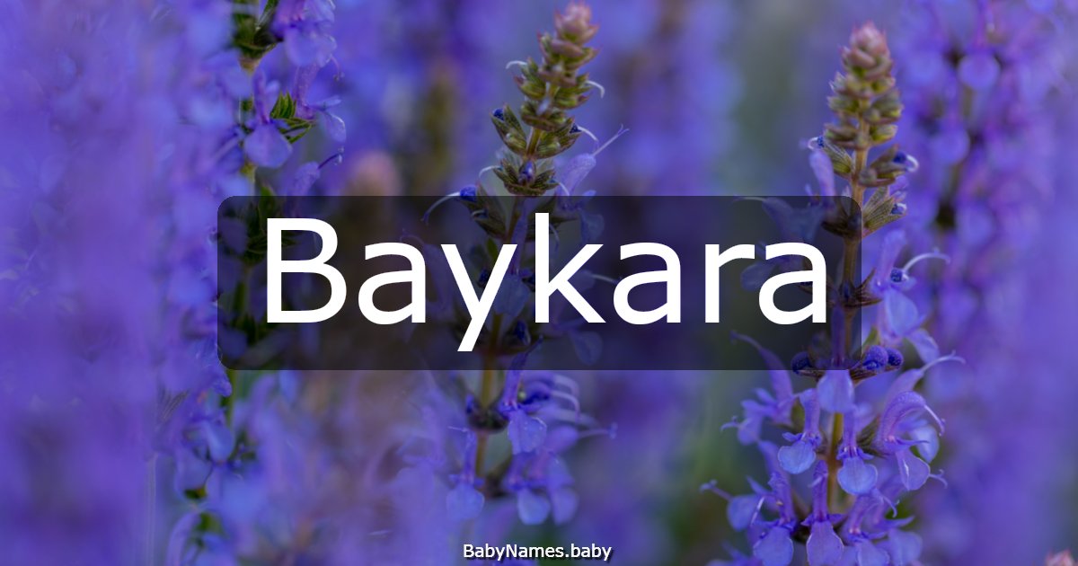 Baykara